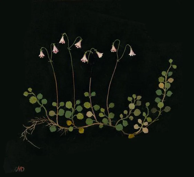 Новый курс для любителей ботанических акварелей