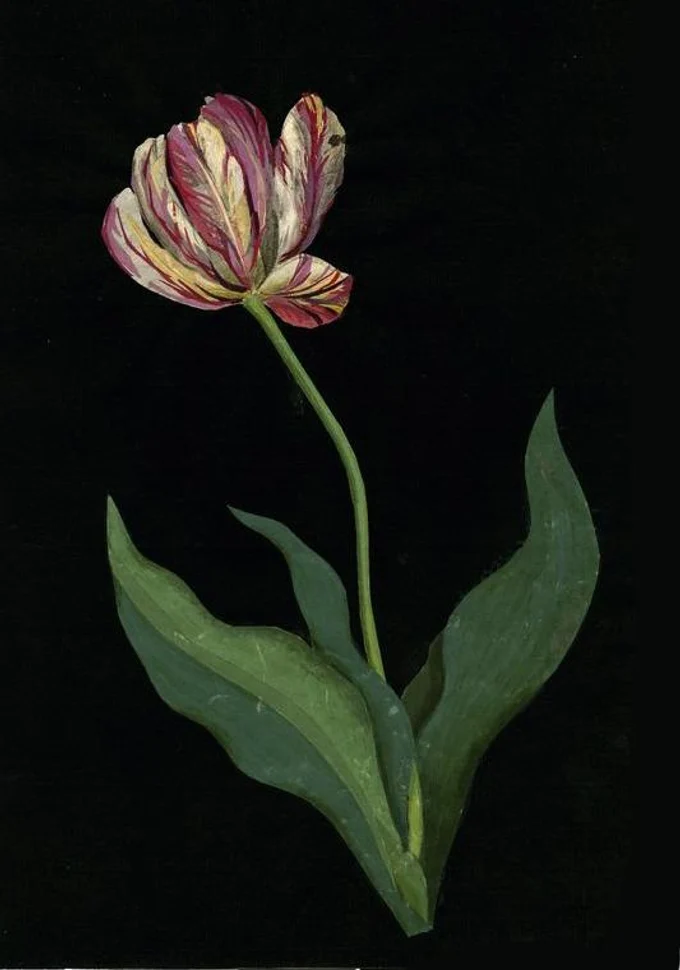 Новый курс для любителей ботанических акварелей